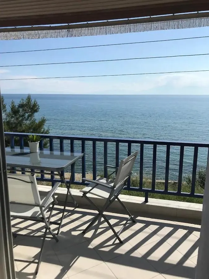 公寓 Elena'S Beach House 尼亚伊拉克利亚 希腊